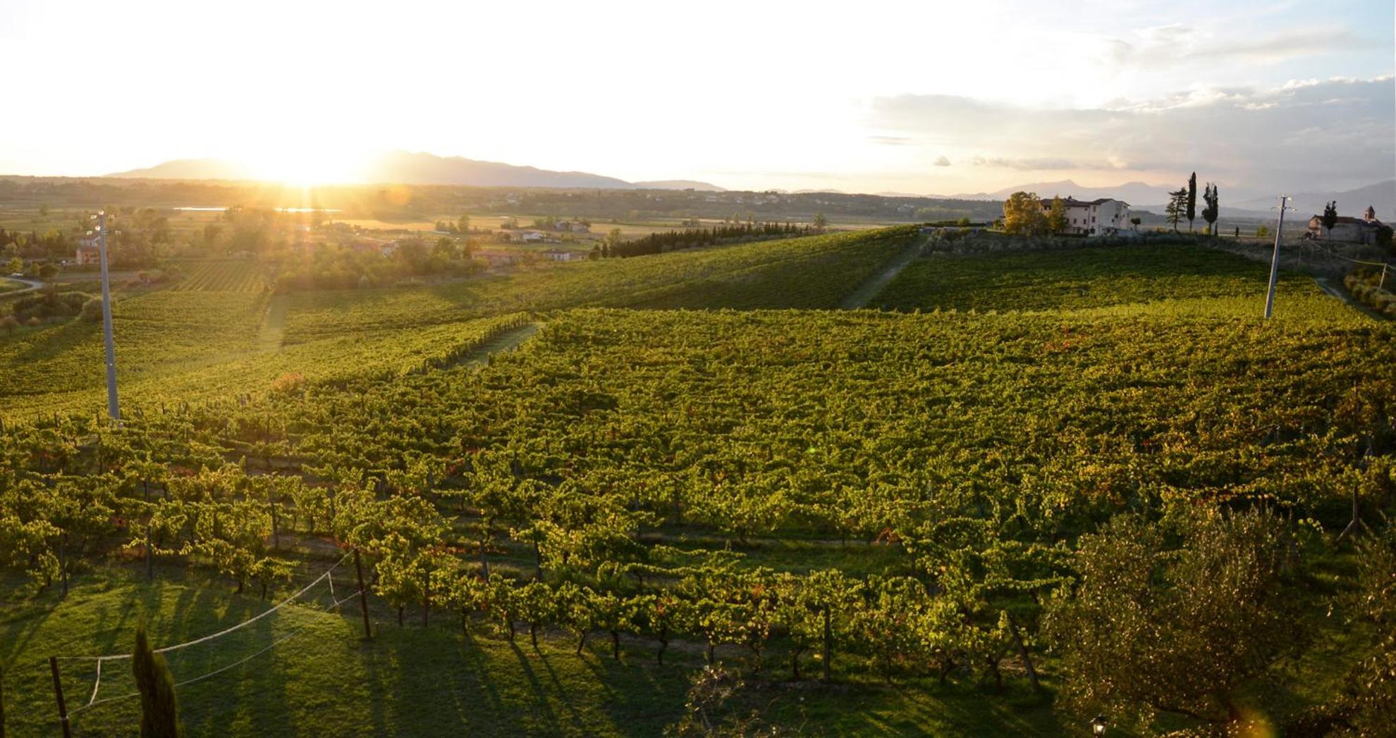 Agriturismo Corte In Poggio Stabbia المظهر الخارجي الصورة