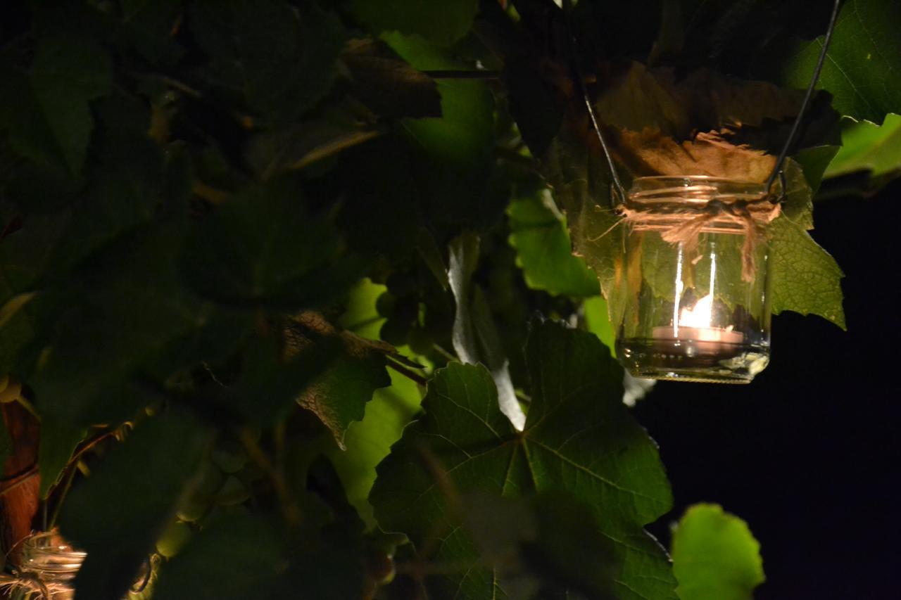 Agriturismo Corte In Poggio Stabbia المظهر الخارجي الصورة